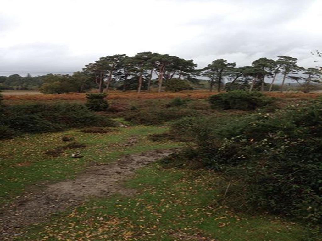 Auplands en-suite Rooms Lymington Exterior foto